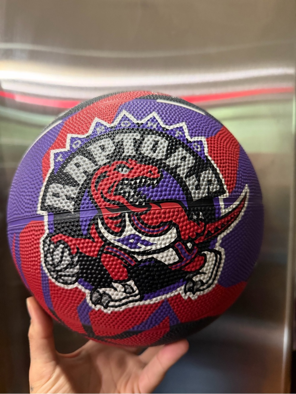 Vintage Toronto Raptors Basketball (autographed)